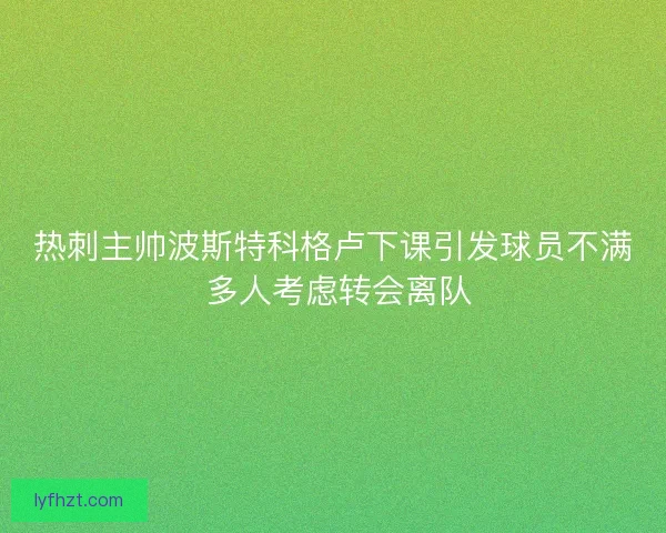 热刺主帅波斯特科格卢下课引发球员不满 多人考虑转会离队