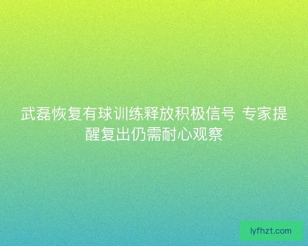 武磊恢复有球训练释放积极信号 专家提醒复出仍需耐心观察