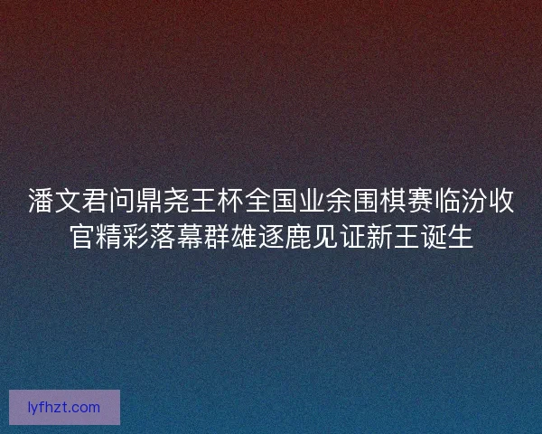 潘文君问鼎尧王杯全国业余围棋赛临汾收官精彩落幕群雄逐鹿见证新王诞生